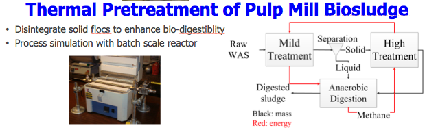 Thermal Pretreatment of Pulp Mill Biosludge