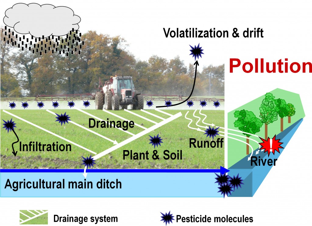 Pesticide application and transport in an agricultural watershed