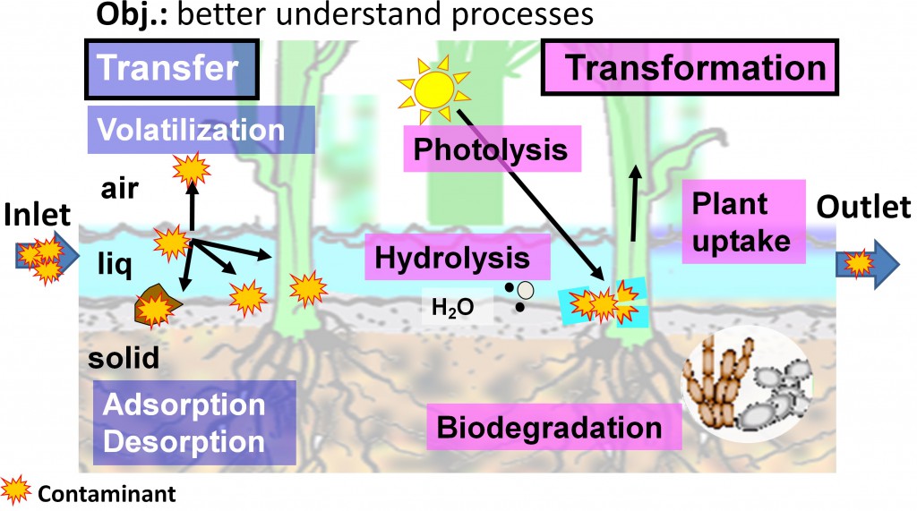 Expected pesticide dissipation processes within a buffer zone