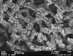 (b) Each of the reaction channels in (a) are loaded with FeCrAlY metal foam based engineered catalyst; the foam has three dimensional interconnected pores (80 ppi pore density), where the surfaces of the foam are coated with aligned carbon nanotubes, enabling efficient heat and mass transports while maintaining a low pressure drop (SEM image taken at ×50).