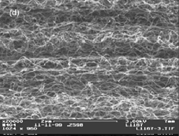 (c) High resolution SEM image (×20 000) on the carbon nanotubes that are grown on the FeCrAlY substrate. A layer of microporous solid encapsulated with active sites is grafted onto the surfaces of the carbon nanotubes [2].