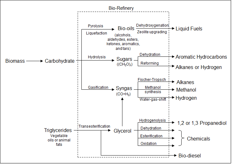 Figure 2. Bio-refinery for chemical and fuel production.